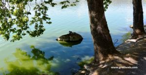 Kastoria - Lake - Bird