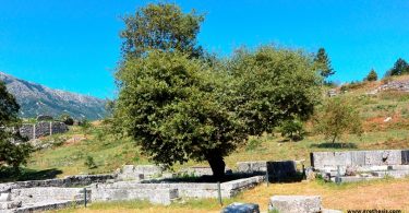Dodona_Zeus_Temple - Oak Tree - GRethexis